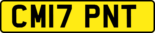 CM17PNT
