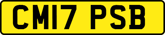 CM17PSB