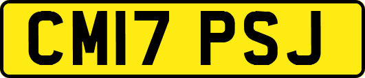 CM17PSJ