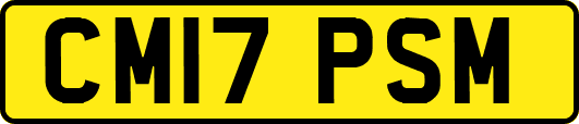 CM17PSM