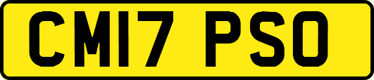 CM17PSO