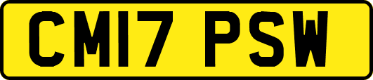 CM17PSW