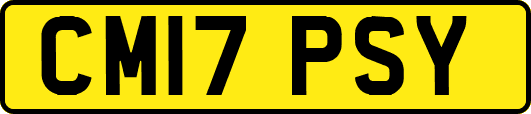 CM17PSY