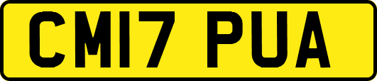 CM17PUA