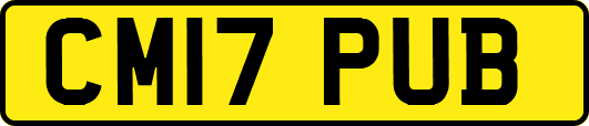 CM17PUB
