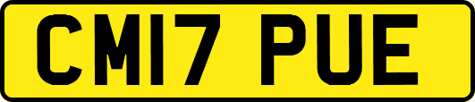 CM17PUE