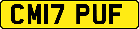 CM17PUF
