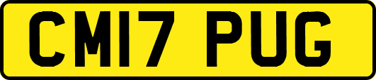 CM17PUG