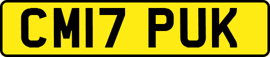 CM17PUK