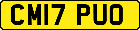 CM17PUO