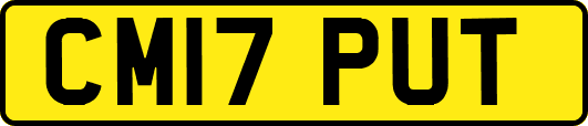 CM17PUT