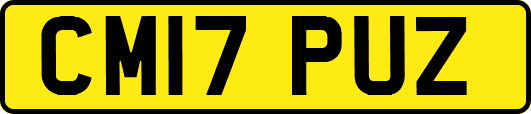 CM17PUZ