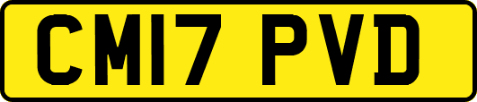 CM17PVD