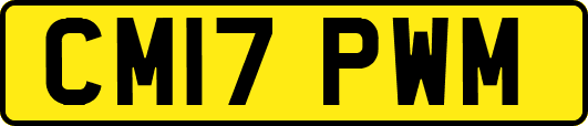 CM17PWM