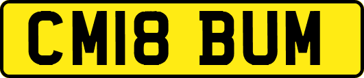 CM18BUM
