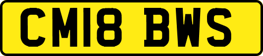 CM18BWS
