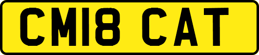 CM18CAT