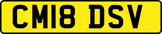 CM18DSV