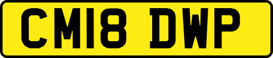 CM18DWP