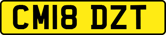 CM18DZT