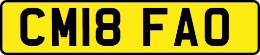 CM18FAO
