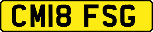 CM18FSG