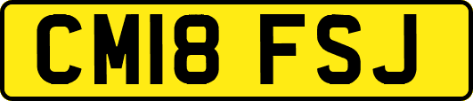 CM18FSJ