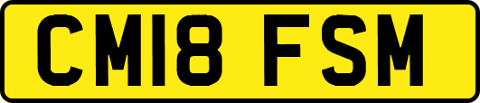 CM18FSM