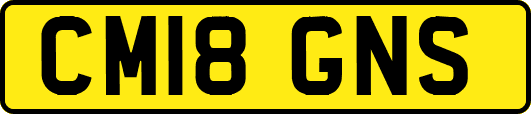 CM18GNS