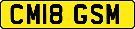 CM18GSM