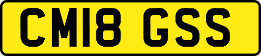 CM18GSS