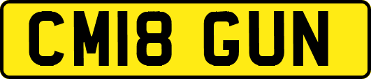 CM18GUN