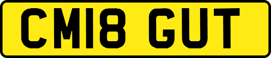 CM18GUT