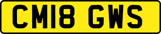 CM18GWS