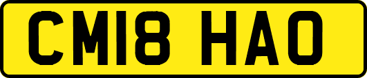 CM18HAO