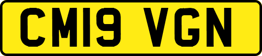 CM19VGN