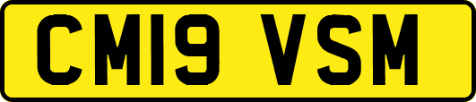 CM19VSM