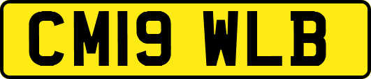 CM19WLB
