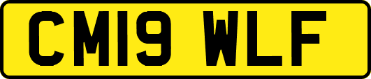 CM19WLF