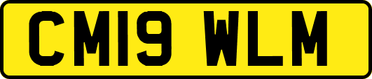 CM19WLM