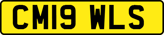 CM19WLS