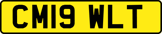 CM19WLT