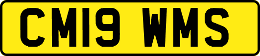 CM19WMS
