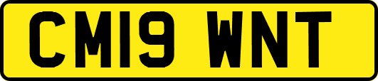 CM19WNT