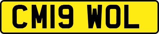 CM19WOL