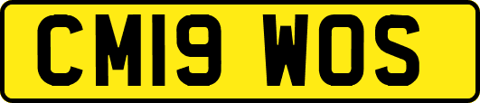 CM19WOS