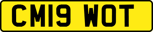 CM19WOT