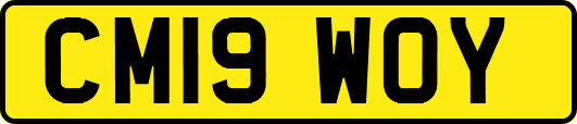 CM19WOY