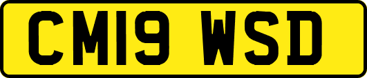 CM19WSD