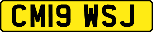 CM19WSJ